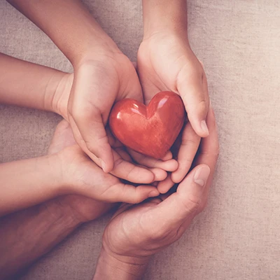 donacion-1,1-400×400