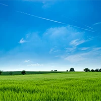 paisaje-1,1-200×200